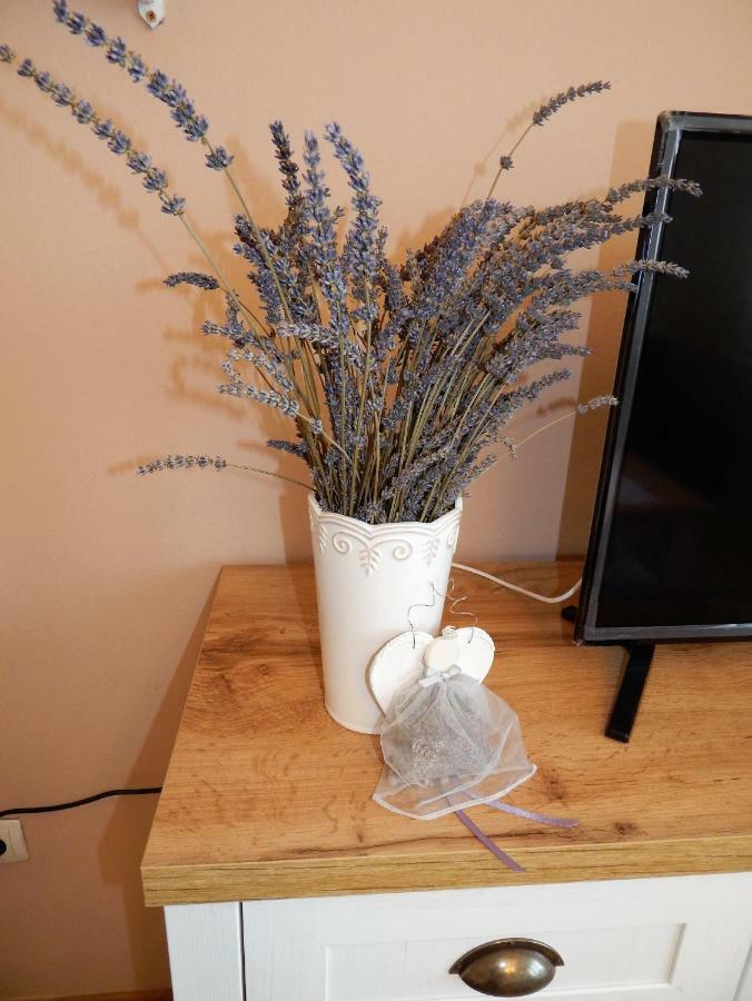 Studio Apartman Tvrtko Varaždin Exteriér fotografie